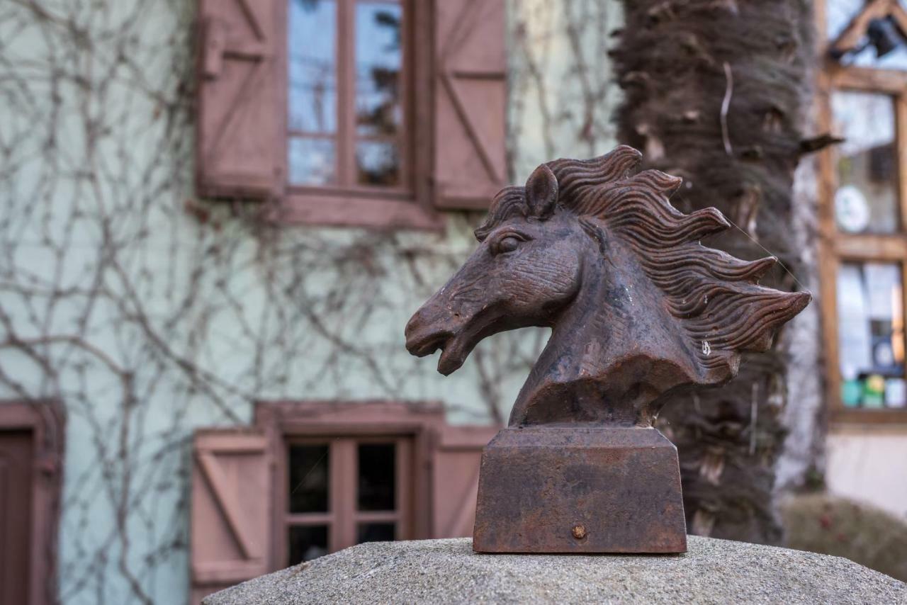 Haras Picard Du Sant Bed and Breakfast Lasserre  Exteriör bild