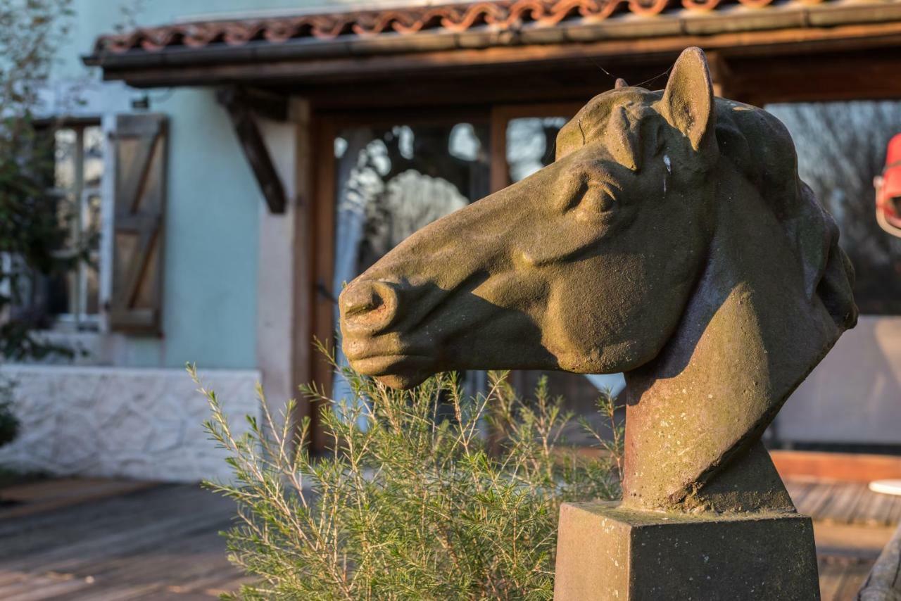 Haras Picard Du Sant Bed and Breakfast Lasserre  Exteriör bild